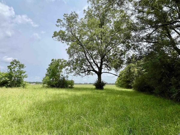 05 Hokaday Rd, Slaughter, LA 70777