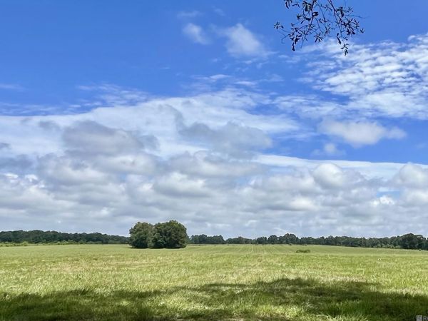03 Hokaday Rd, Slaughter, LA 70777