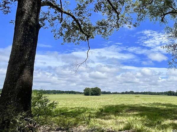 04 Hokaday Rd, Slaughter, LA 70777