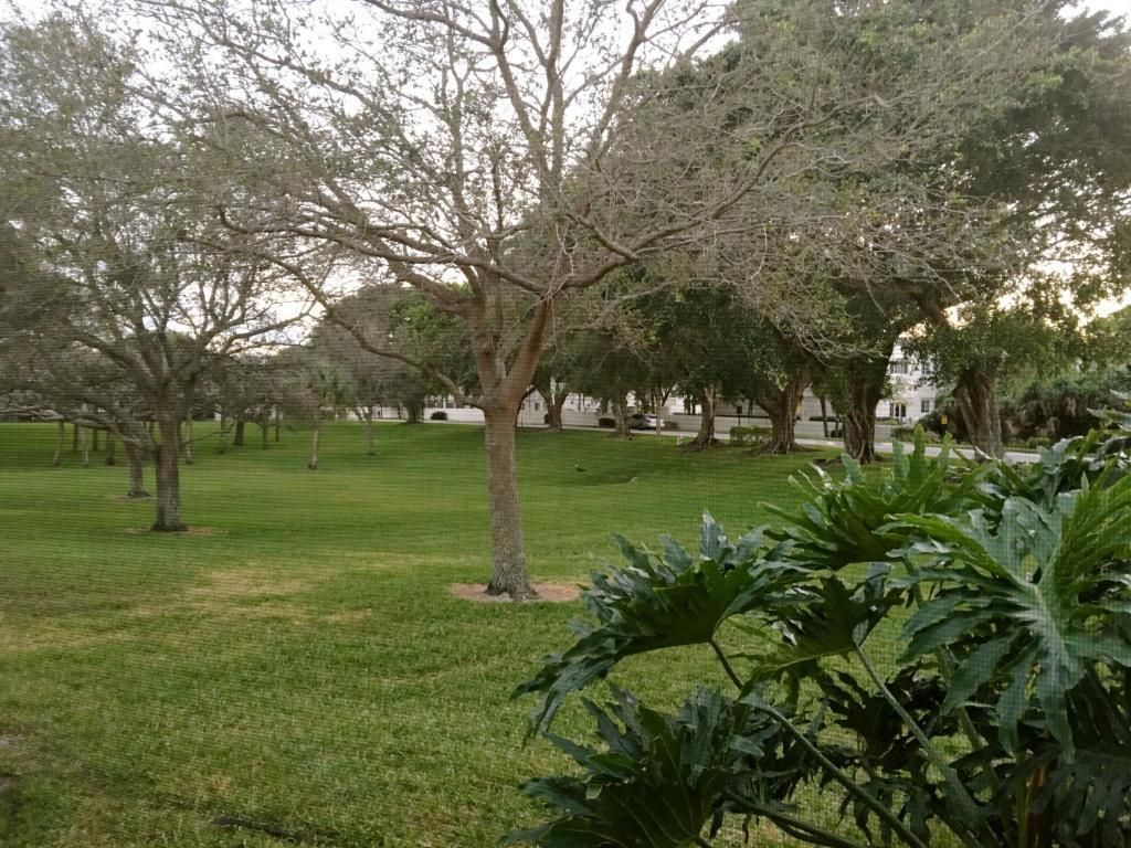 3095 Inglewood Terrace, Boca Raton, FL 33431 Photo