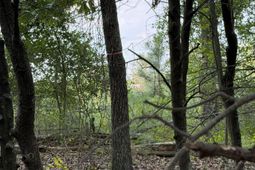 0 Fire Tower Road photo 4