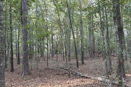 0 Fire Tower Road photo 4