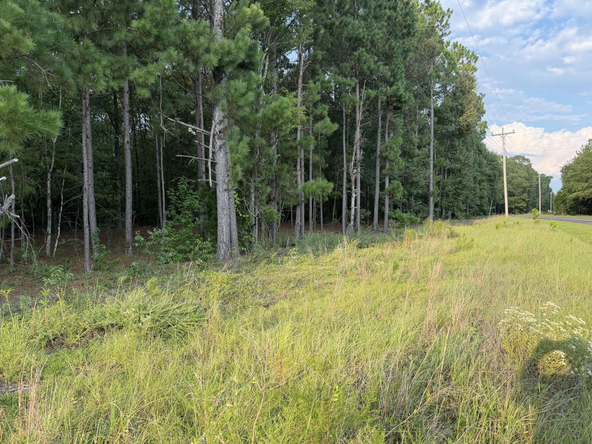0 Fire Tower Road Photo 4