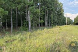 0 Fire Tower Road photo 4