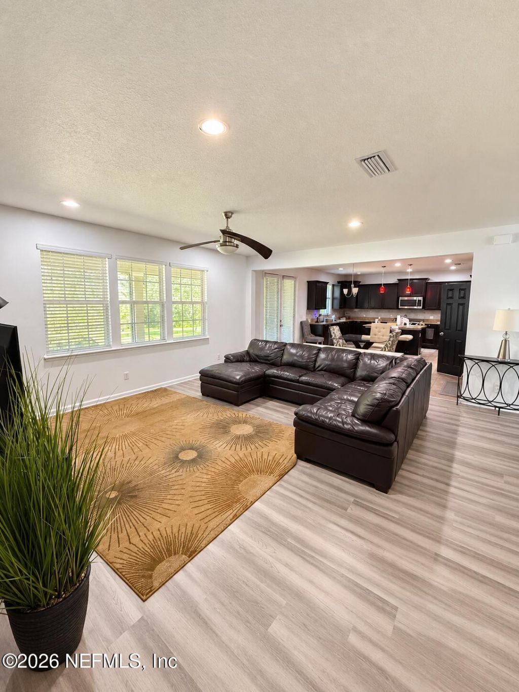 4506 Gray Hawk Street, Orange Park, FL 32065 Photo