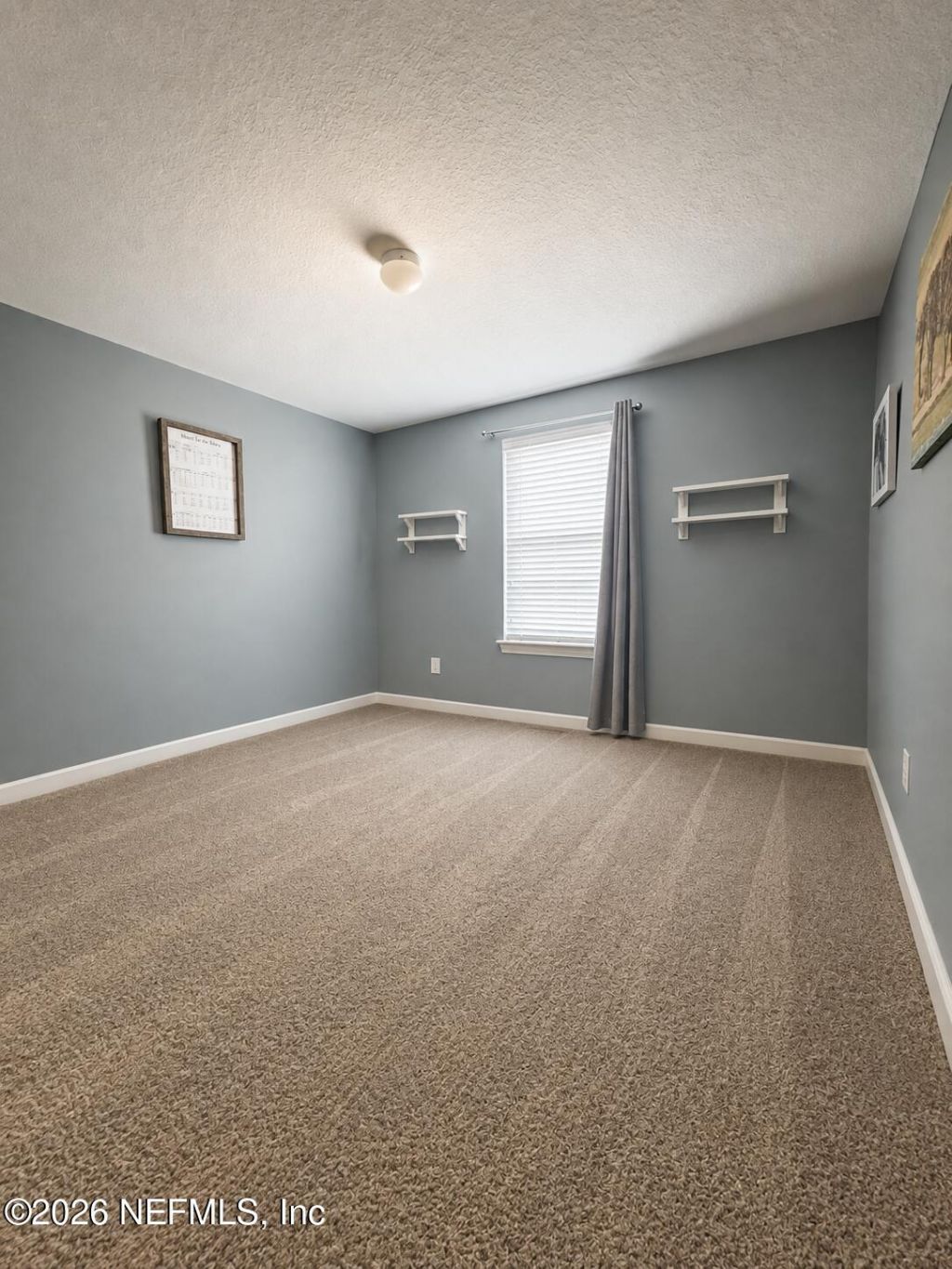 4506 Gray Hawk Street, Orange Park, FL 32065 Photo
