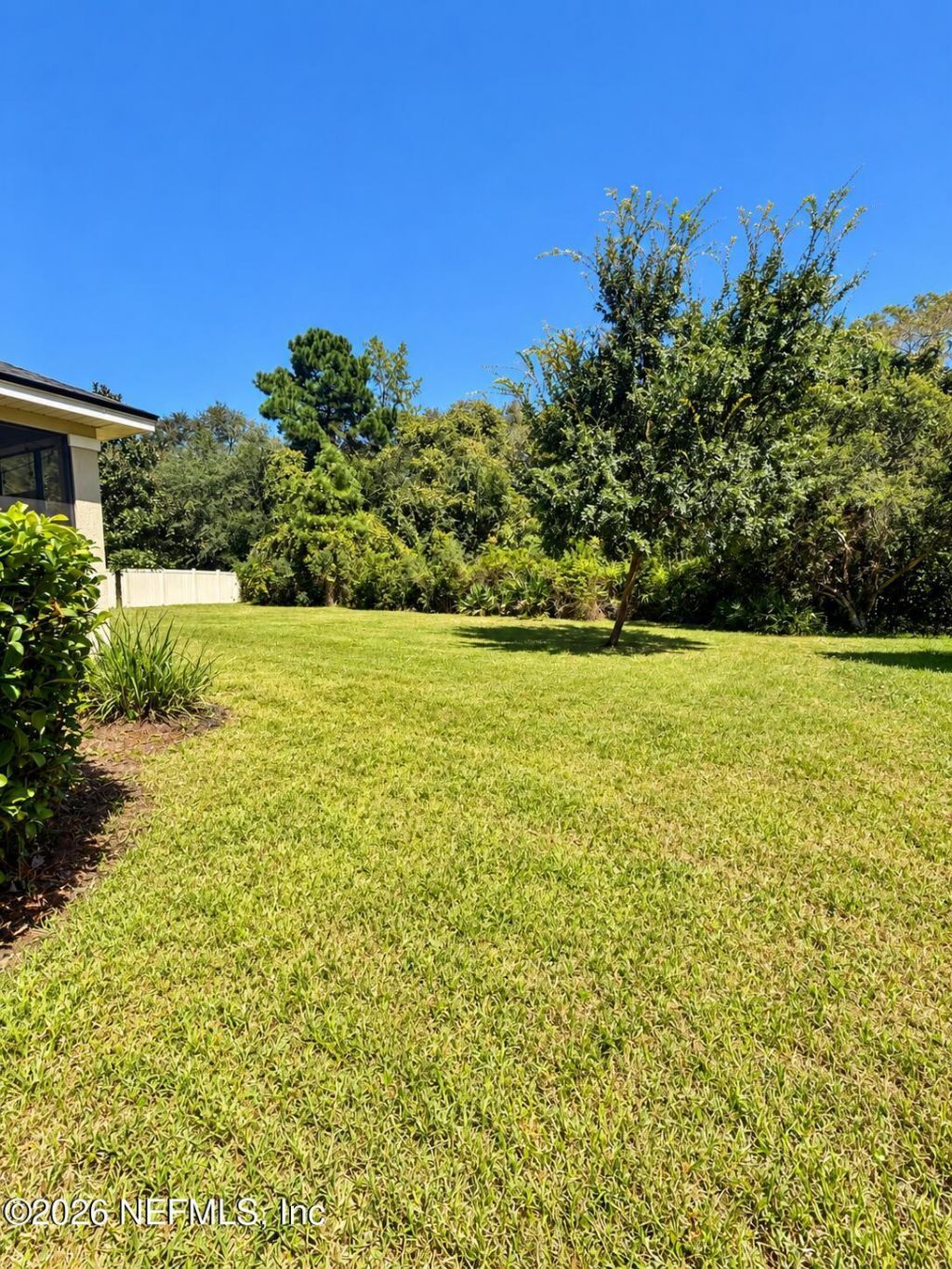 4506 Gray Hawk Street, Orange Park, FL 32065 Photo