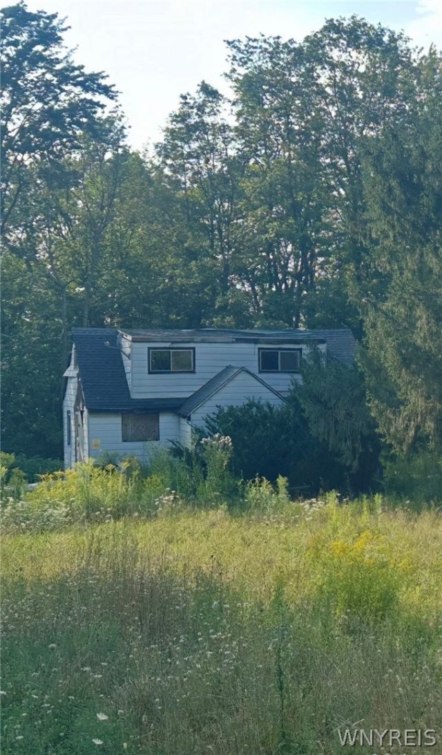 8486 Feddick Road, Hamburg, NY 14075 Main Photo