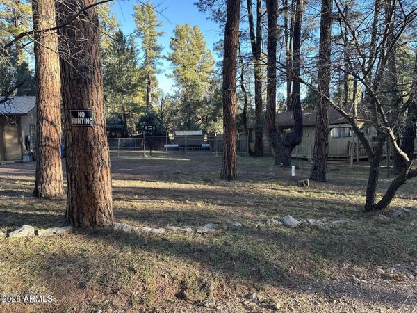 6384 W JAN Drive, Pine, AZ 85544