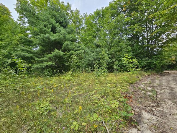 Lot H H-33, Gould City, MI 49838