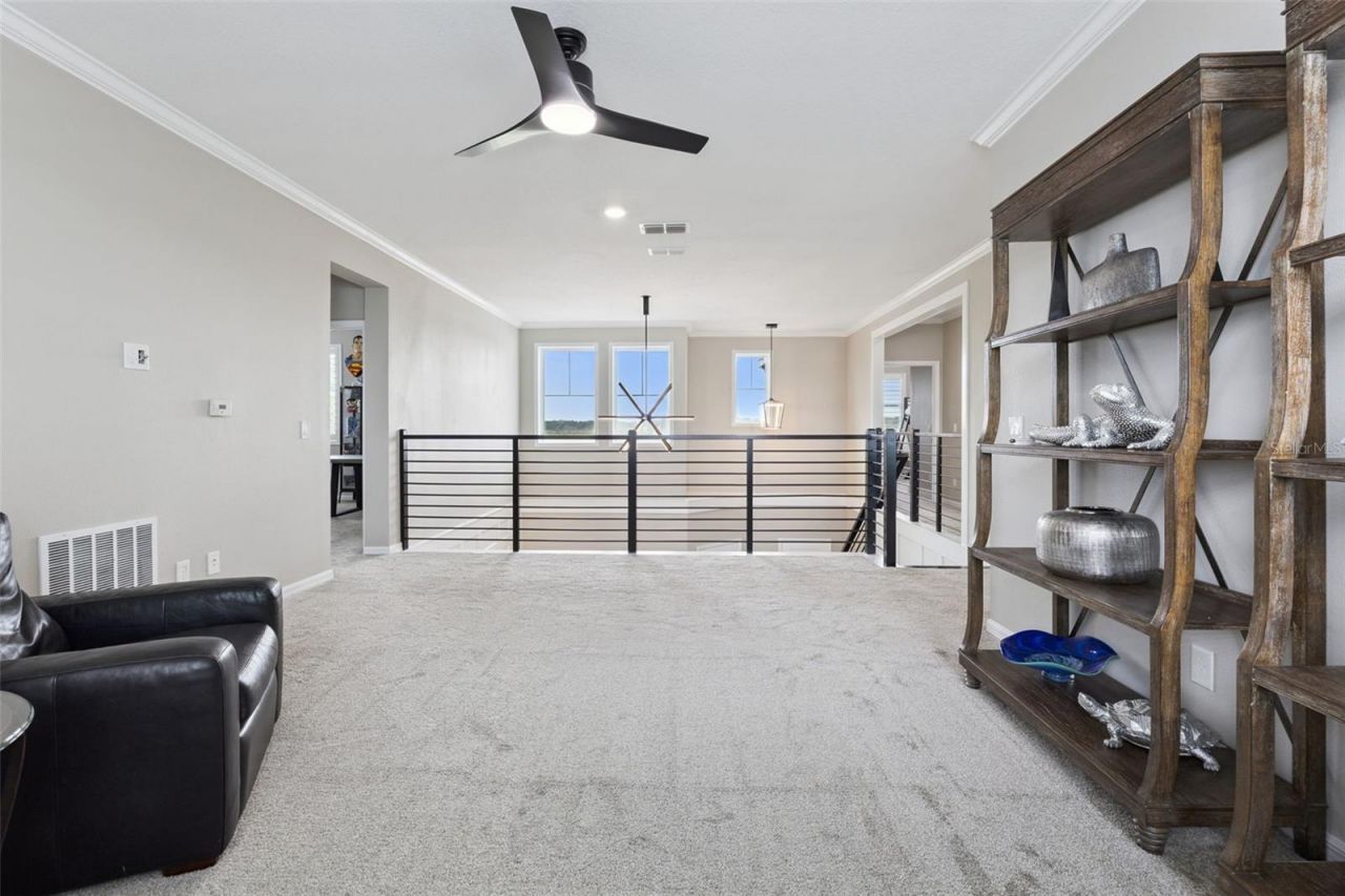 433 Blue Cypress Drive, Groveland, FL 34736 Photo