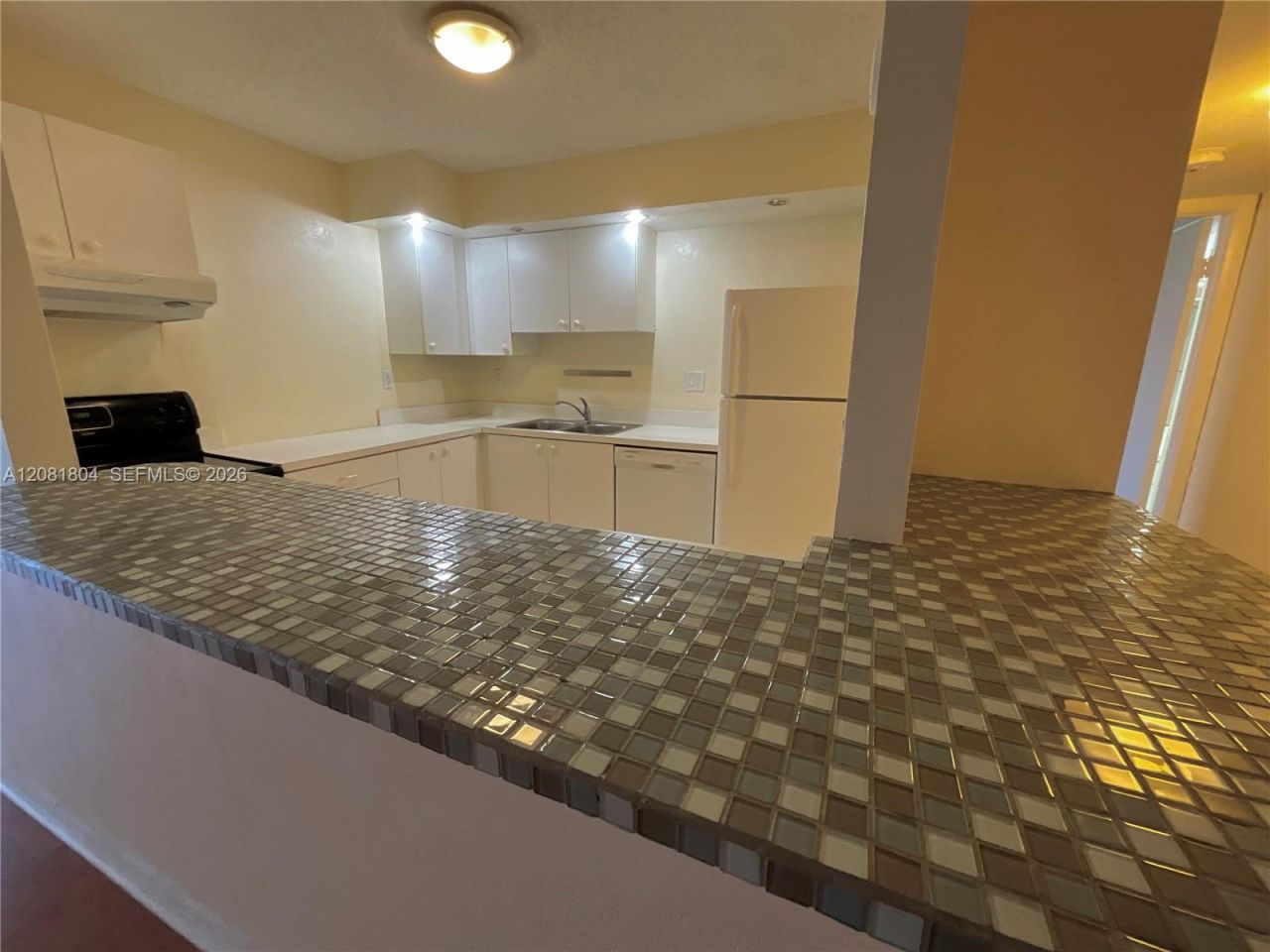 2101 Atlantic Shores Blvd, Unit 507, Hallandale Beach, FL 33009 Photo