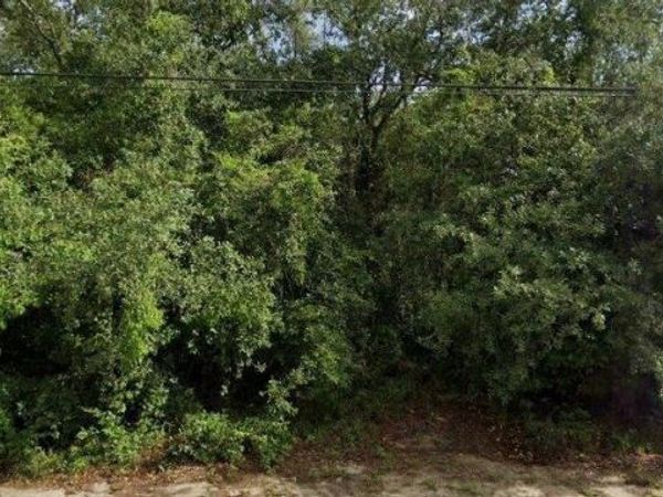 6175 ROXBORO STREET , SPRING HILL, FL 34606
