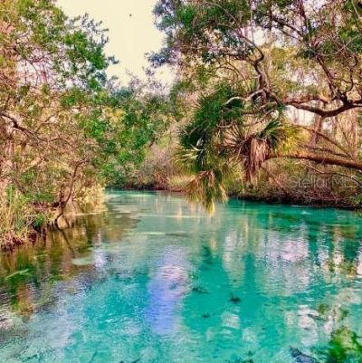 8057 Delaware Drive , Weeki Wachee, FL 34607 Photo