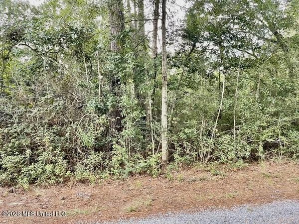 Flurry Drive, Perkinston, MS 39573