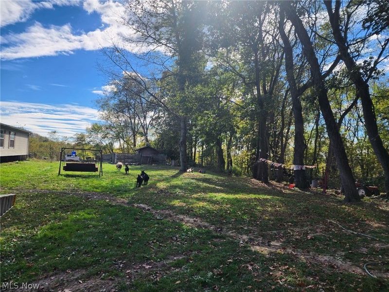 1170 Dillworth Road, East Liverpool, OH 43920 Photo 10