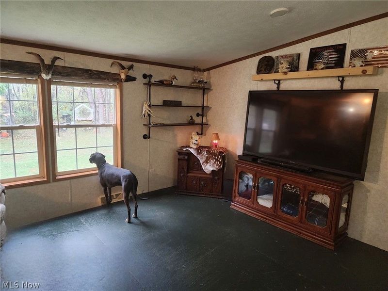1170 Dillworth Road, East Liverpool, OH 43920 Photo 20