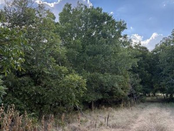 271 Wyatt Road , Jacksboro, TX 76458