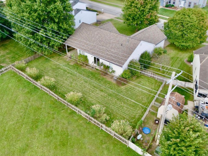 335 Gnarled Oak Street, Pickerington, OH 43147 Photo 38