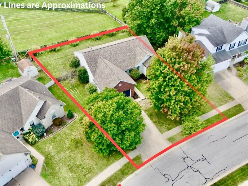335 Gnarled Oak Street, Pickerington, OH 43147 Photo 41