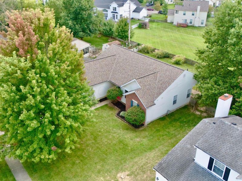 335 Gnarled Oak Street, Pickerington, OH 43147 Photo 42