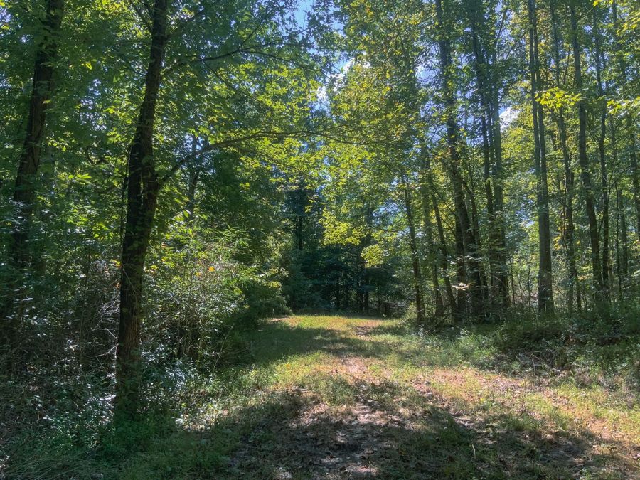 Property Image 18