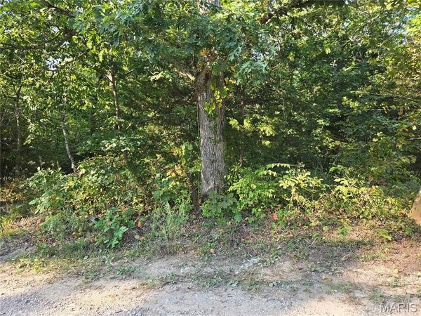 0 Tranquil Oaks , Wright City, MO 63390
