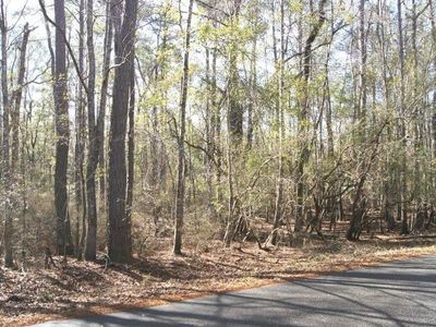 Lot 25 Crow Hill Dr. , Georgetown, SC 29440