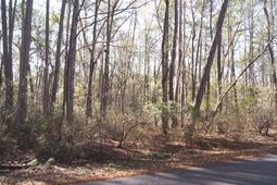 Lot 25 Crow Hill Dr. photo 4