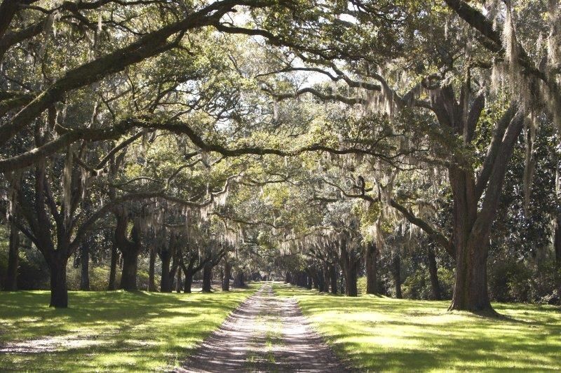 Lot 26 Crow Hill Dr.  Photo 10