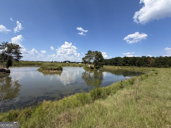 23.03 ACRES Carters Bridge Road, Claxton, GA 30417