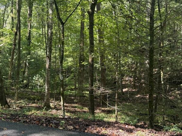 00 River Ridge Road, Blue Ridge, GA 30513