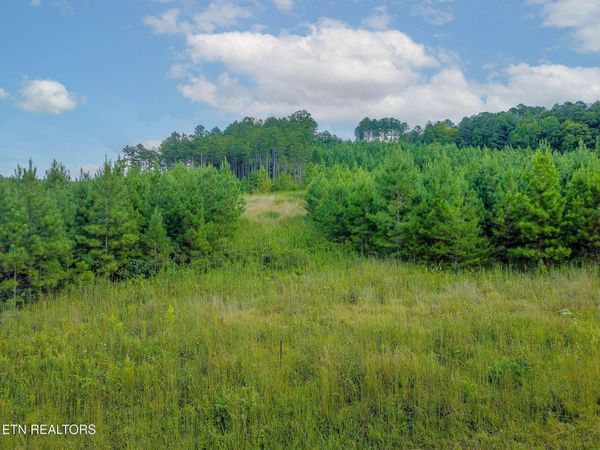 0 Lot #41 Three Point Rd, Unit 41, Madisonville, TN 37354