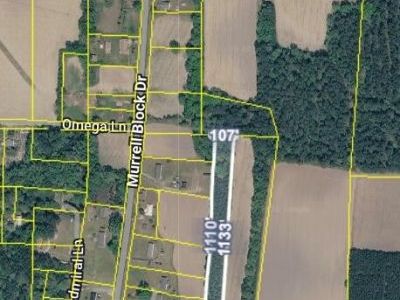 0 Murrell Block Drive, Pineville, SC 29468