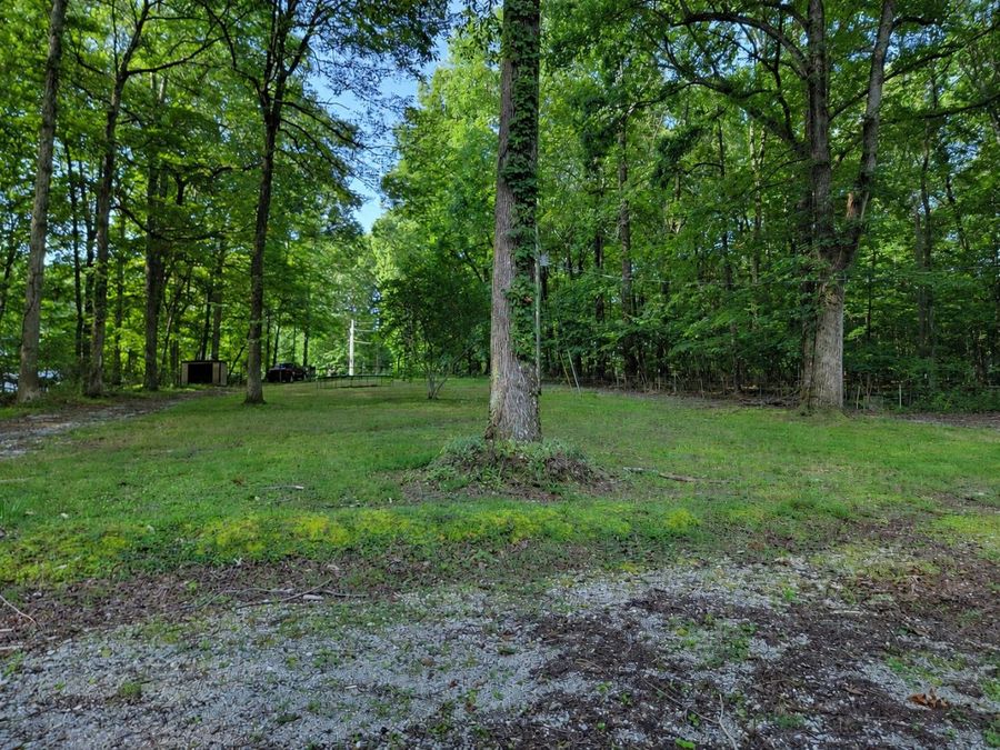 Property Image 39