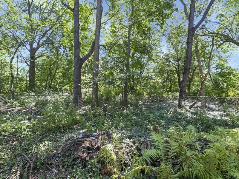 21735 Mastick Road, Fairview Park, OH 44126 Photo 11