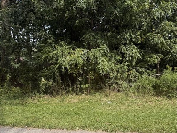 Garfield , Niles, OH 44446