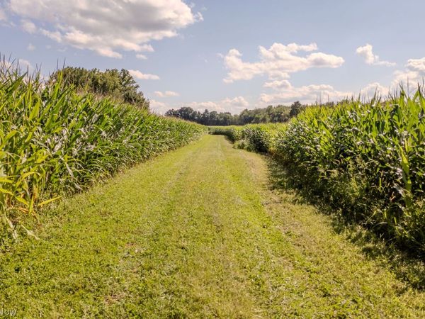 Lot 47 & 48 Alexander Road , Mogadore, OH 44260