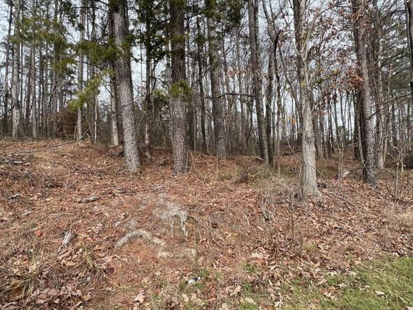 5627 Alabama Highway 227, Guntersville, AL 35976