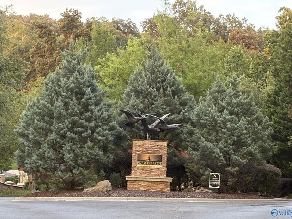 1930 Lookout Mountain Drive, Scottsboro, AL 35769