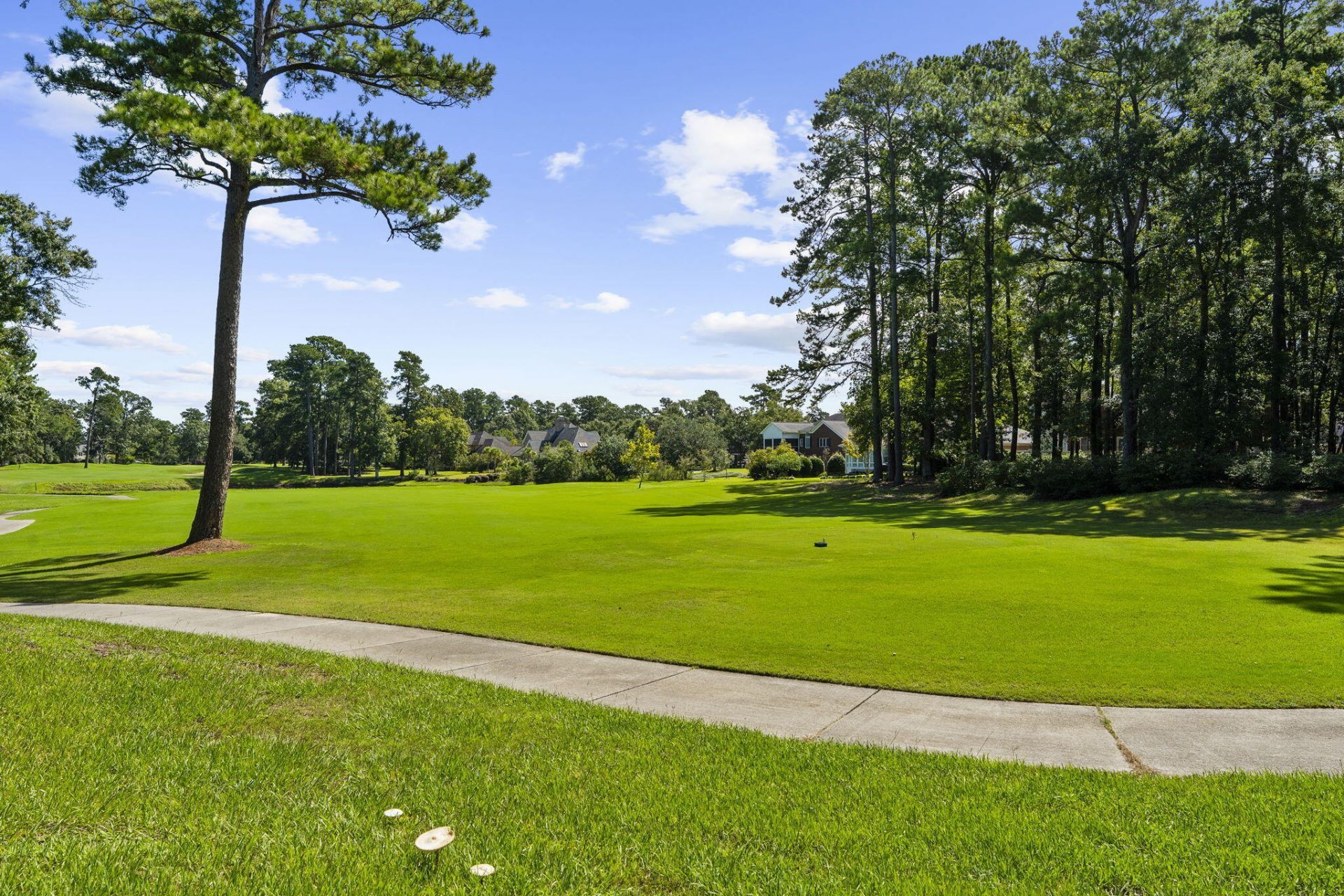 8634 W Fairway Woods Drive Photo 81