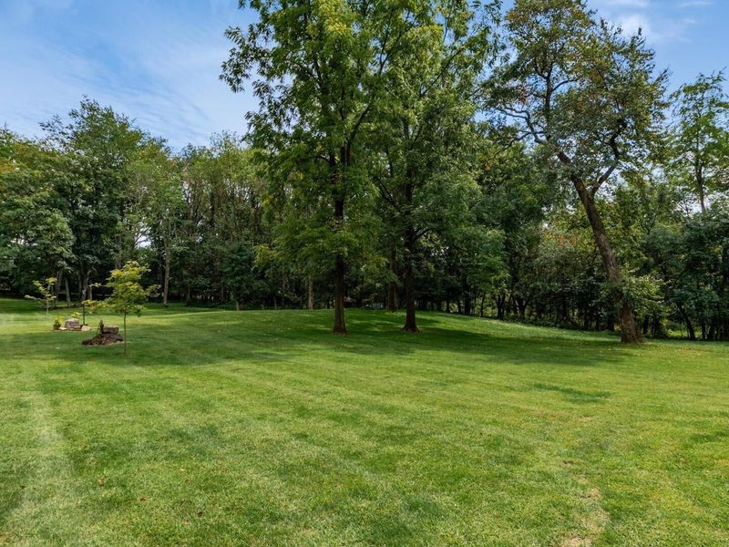9304 Poplar Fork Road SE, Mount Perry, OH 43760 Photo 14