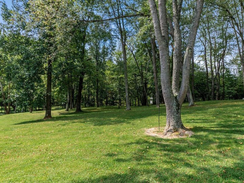9304 Poplar Fork Road SE, Mount Perry, OH 43760 Photo 29