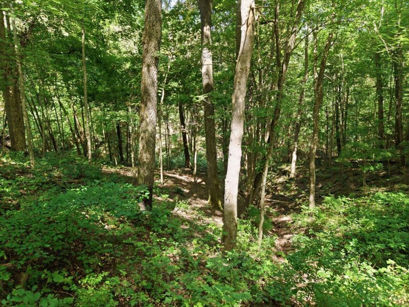 3151 Pond Run Road, Pierce Township, OH 45157 Photo 29