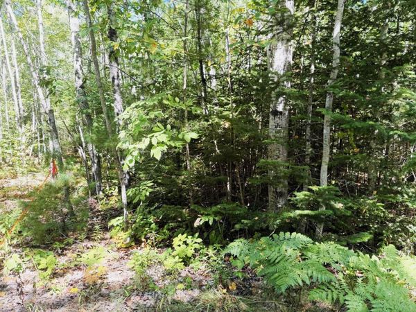 Lot 00500E West Hamlet Road , Newcastle, ME 04553