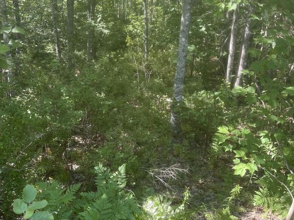 Lot 2 W Side Unionville Road , Steuben, ME 04680