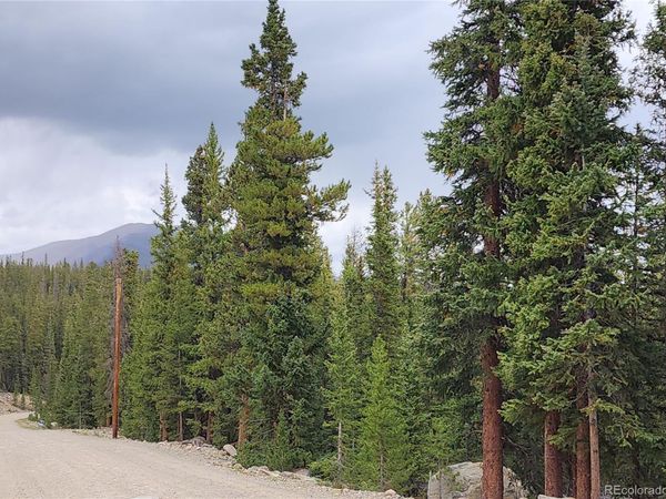 806 Bobcat Lane , Fairplay, CO 80440