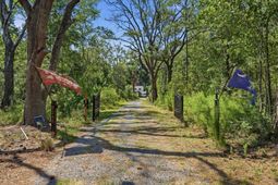 8246 Oyster Factory Road photo 4