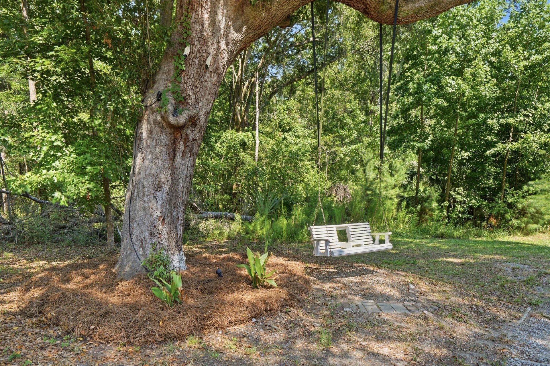 8246 Oyster Factory Road Photo 62