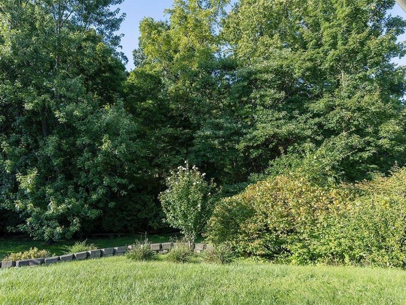 1990 Miles Road, Springfield Township, OH 45231 Photo 24